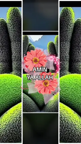 🕌🕌🕋🤲🏻🕋🤲🏻
