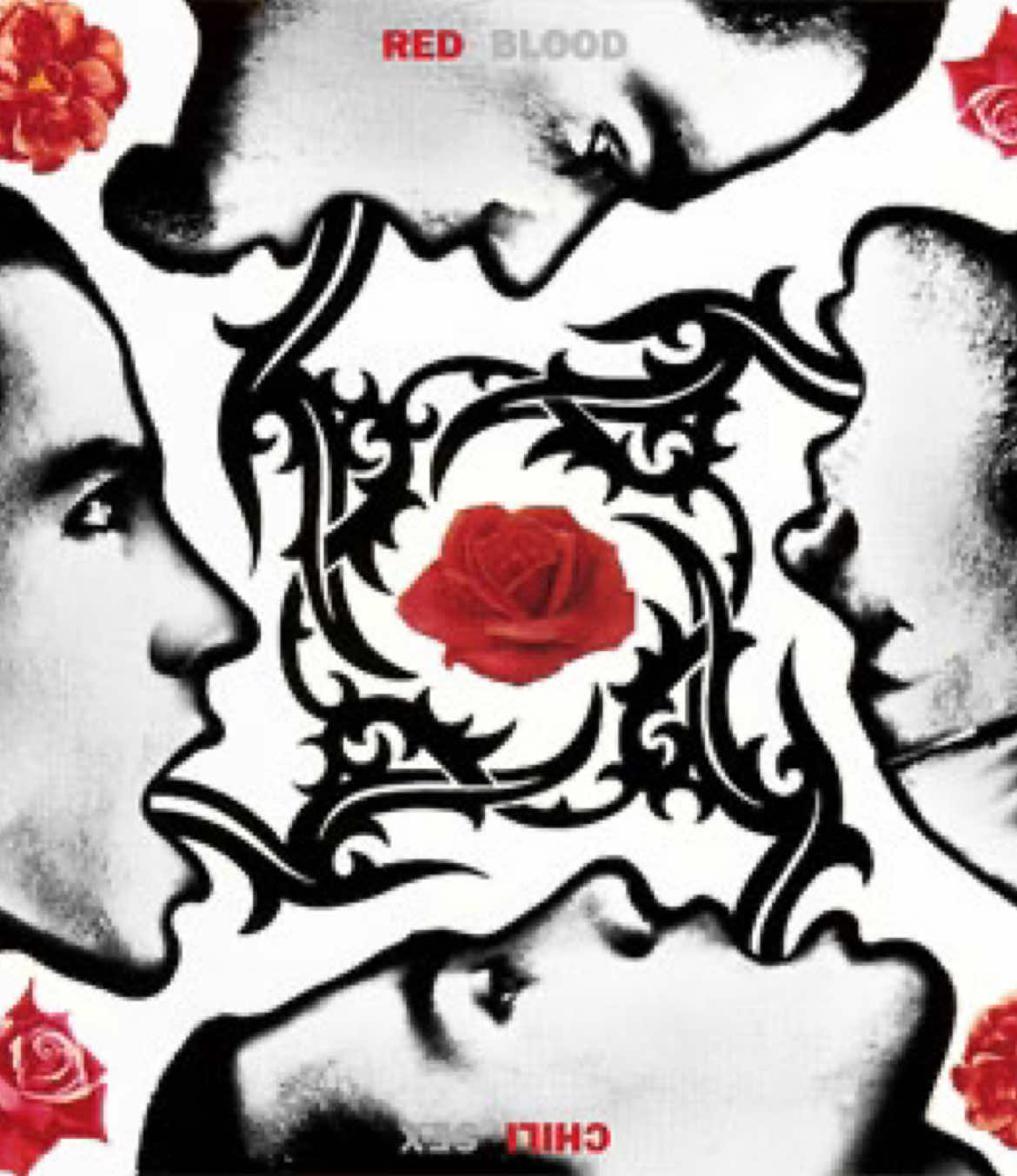 One of my favourite songs from the bssm album 🌶️ #rhcp #lyric #breakingthegirl #redhotchilipeppers #johnfrusciante #anthonykiedis #flea #chadsmith #song #viral #abcxyz #idomtknowwhatimdoing @harperhoumous what do you thinkk 