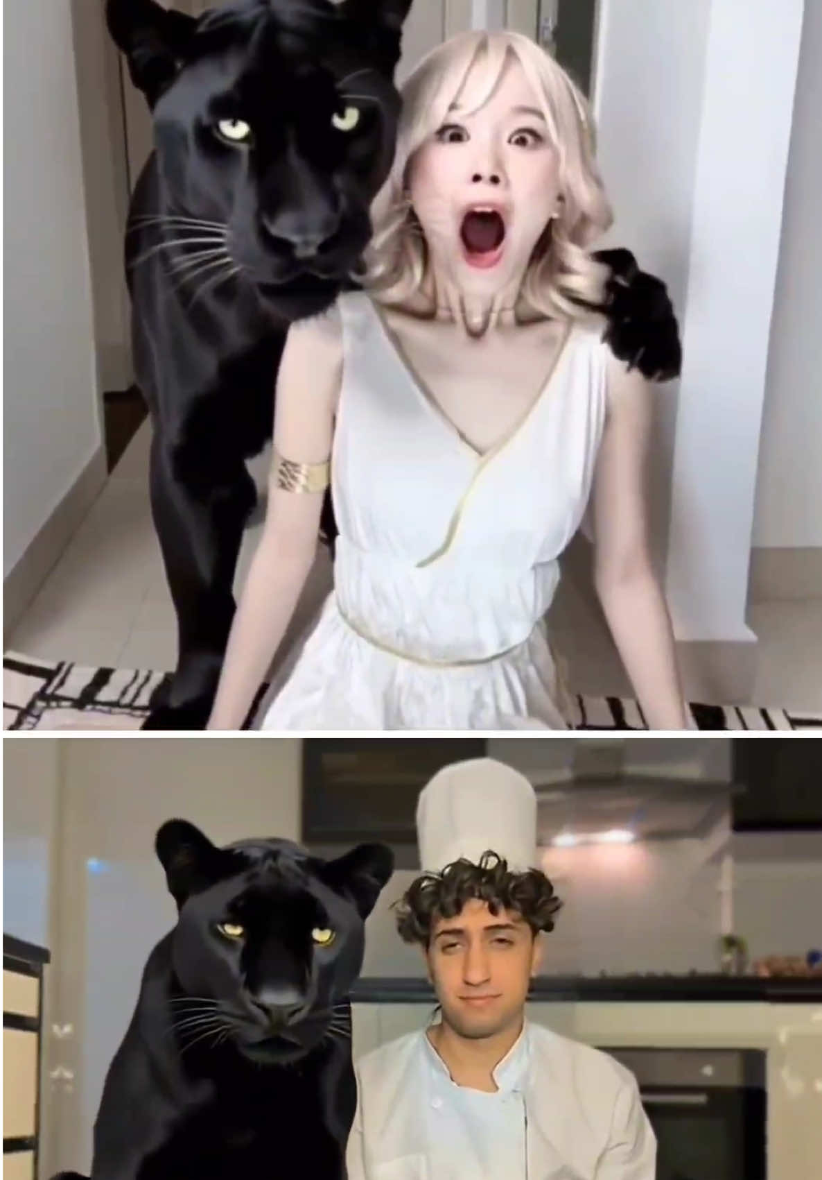 ChangDory & my panther 🐆  #ratatouille #ometv #foryou #panther #fyp #memes #challenge 