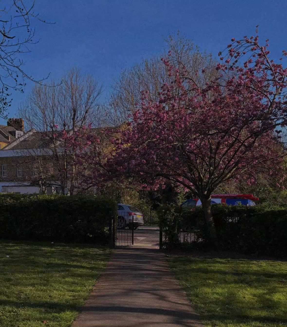 Piel Canela - Eydie Gormé, Los Panchos      #pielcanela #eydiegorme #lospanchos #letras #dedicar #paratiiiiiiiiiiiiiiiiiiiiiiiiiiiiiii #fyp 