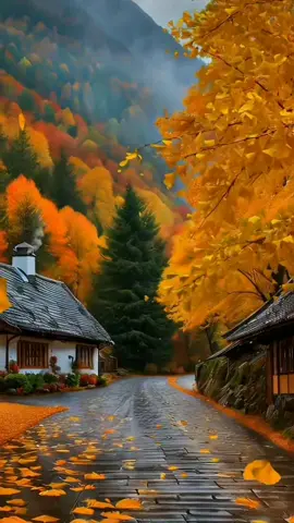 Autumn colour's 🍂 🍁 🍂 #autumn  #autumnvibes #autumnleaves #yellow #leaves #three #autumnfashion #music #reels #mood #colorfull #cosy #landscape #photography #video #trend #trendingvideo #travel #Vlog #edit #explore #fypage #fyppppppppppppppppppppppp #fypdongggggggg #fypp 