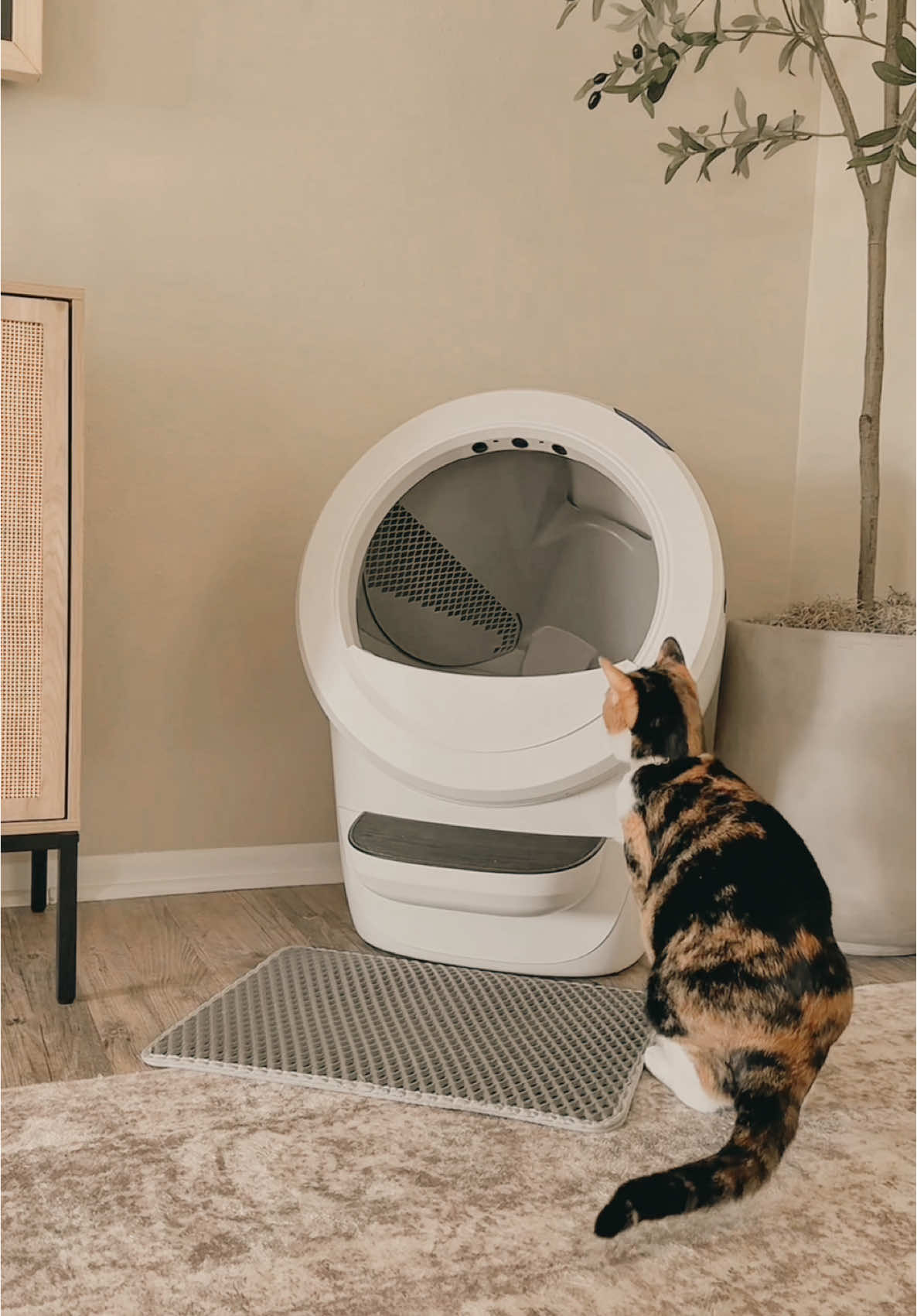She’s bougie. I’m busy. 🐈 Litter-Robot 4 is the best thing to happen to both of us. No scooping, no smell, no effort. Just clean litter and a happy kitty. 10/10 recommend for fellow cat parents. 🔗 in my b!0 to try it yourself! 🩷  #giftedbylitterrobot #litterrobot @Litter-Robot 