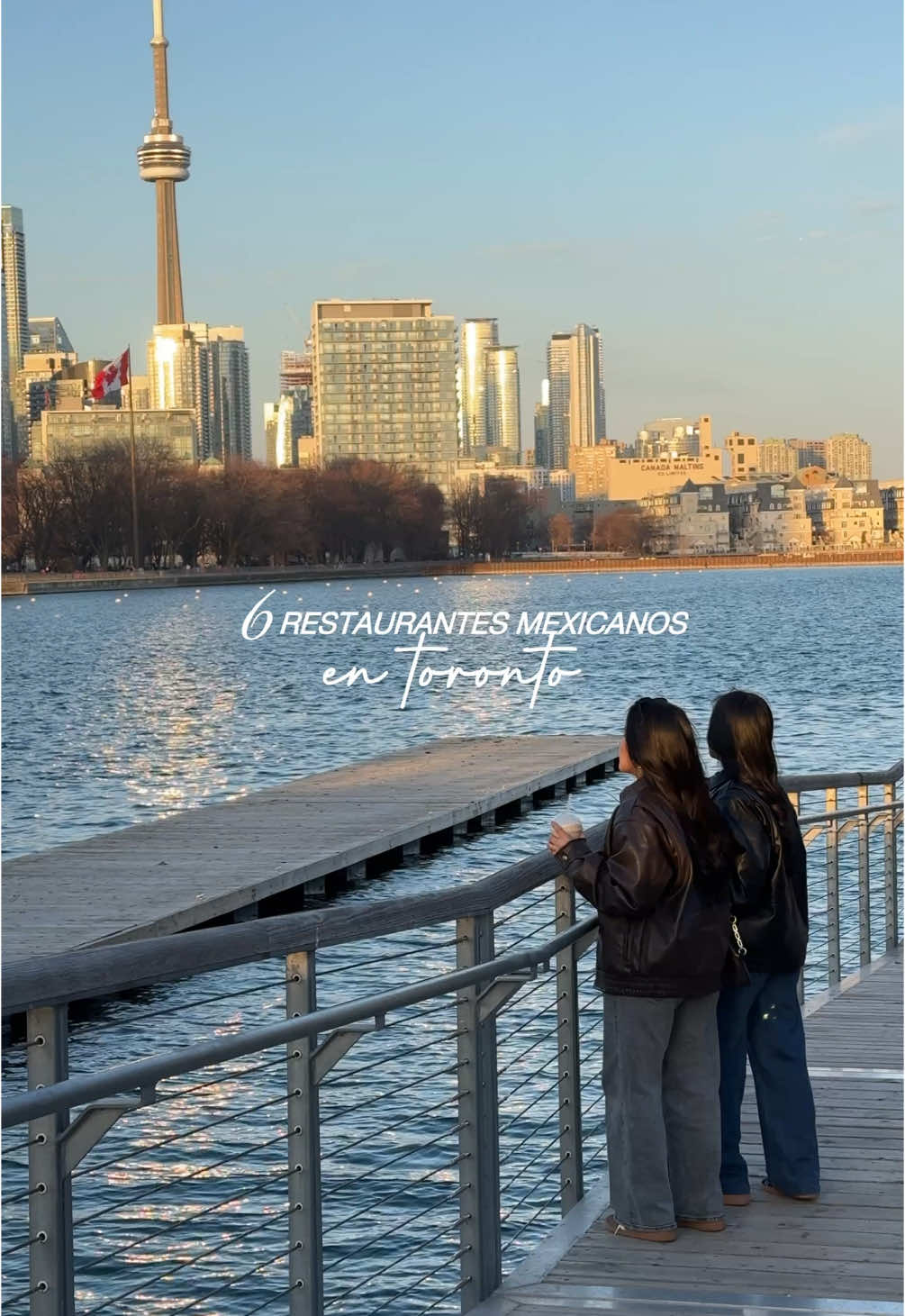 6 restaurantes mexicanos en toronto que no fallan ❤️‍🔥🌮 desde happy hours hasta tacos a $1 — esta lista te va a salvar más de una vez!! #torontotacos #torontoeats #torontofoodie #mexicanfood #torontodeals #cheapeats #torontorestaurants #thingstodointoronto #torontolife #latinosentoronto #latinosencanada #affordablefood 