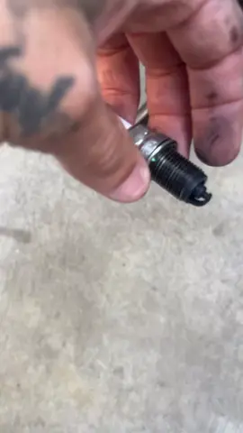 Oil all over the Sparkplug #minibike #bikelifeworld #mechanic #smallengine #pwk #mm80 