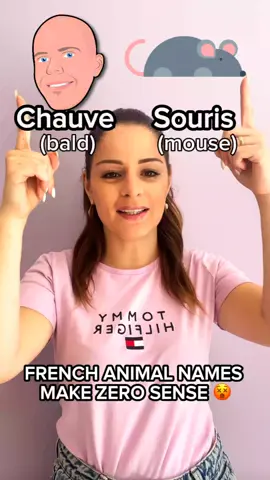 French Animal Names Make ZERO Sense! 🤯🇫🇷 Did you know that in French, a bat is called a “bald mouse”, and a raccoon is a “washing rat”? 🧐 Or that “Bernard the Hermit” means “hermit crab” and “Red Throat” is a “robin”? Some of these names sound completely weird, funny, and totally unexpected! Which one made you laugh the most? Drop a comment below! 👇 . . . #french #frenchlanguage #studyfrench #learnfrench #frenchlesson #frenchonline #frenchlearning #fle #frenchvocabulary #funnyfrench #frenchteacher #frenchclass #frenchanimals #talkinfrench