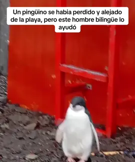 Sin sus indicaciones no hubiese sido posible @luigi 