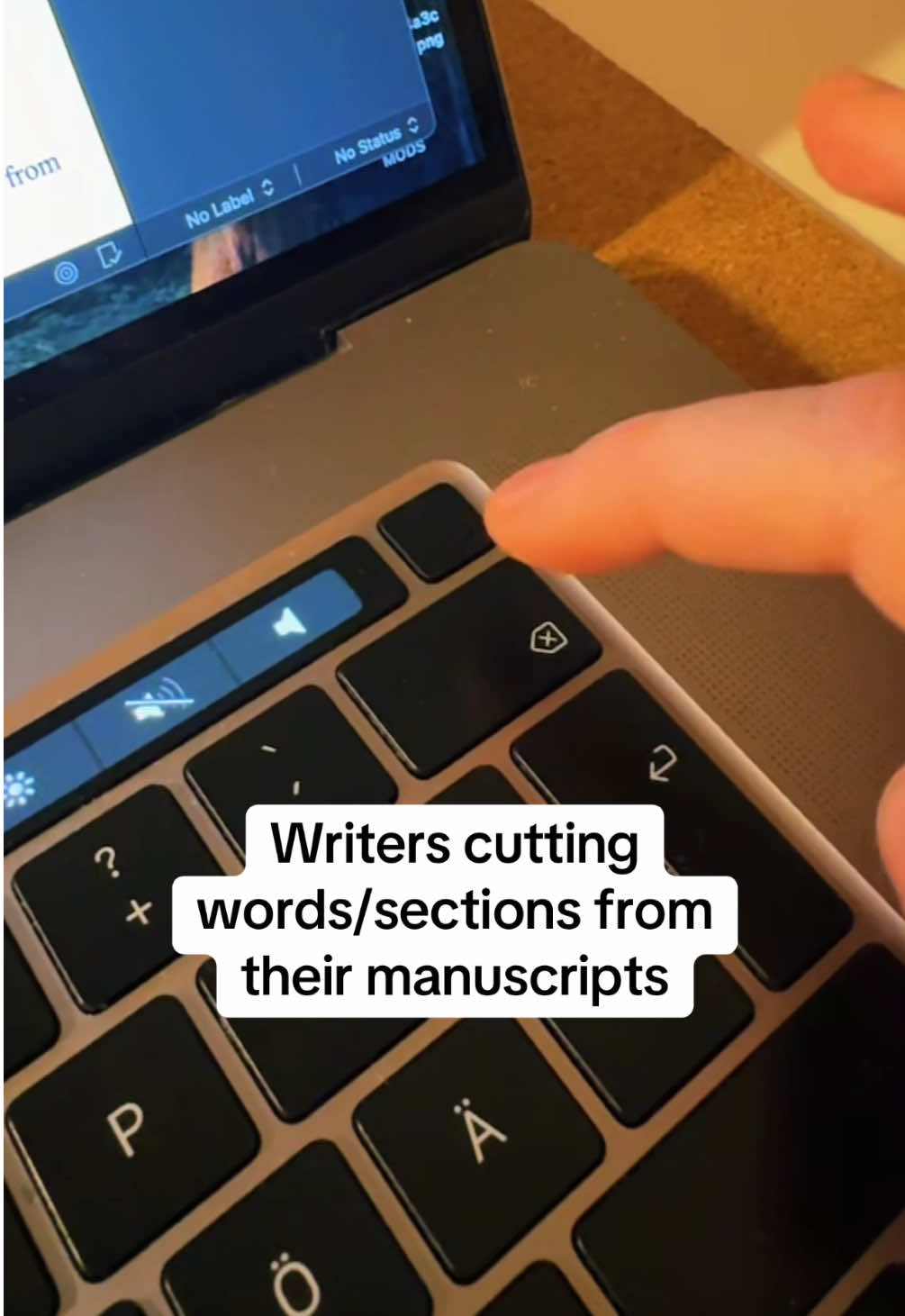 Filler words anyone? Honesty my manuscript is full of unnecessary writing/words and each time I need to delete, it hurts 🤣 #writing #authortok #writertok #writingabook #authorsoftiktok #writersoftiktok 
