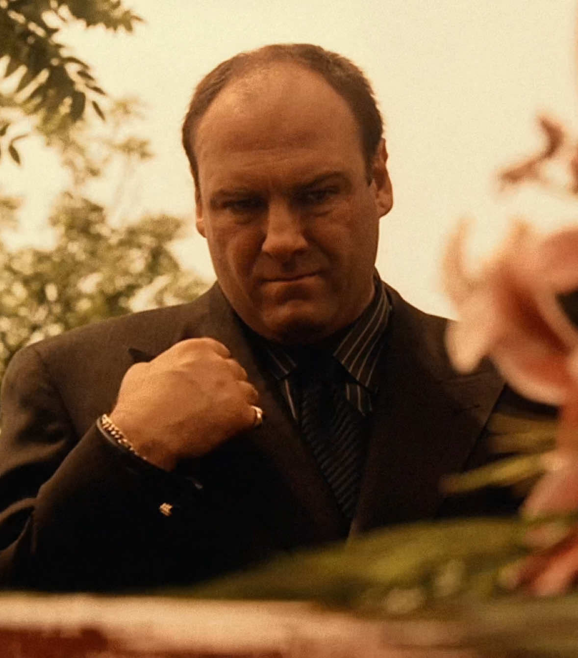Guidelines the intro’s fake #sopranos #fyp #foryou #foryoupage #lana #edit #tonysoprano #sopranostok #aesthetic 