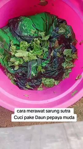 #bhs #lamiri #hidayat  cara mencuci sarung sutra dengan daun pepaya muda