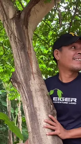 Video lucu bikin ngakak #creatorsearchinsights #TikTokAwardsID #viraltiktok #funnyvideos #viralvideo 
