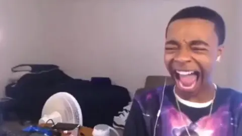 FlightReact's Dolphin Laugh (Original Memes)