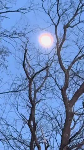 What if ♥️ #fyp #viral #moon #iphone16promax 