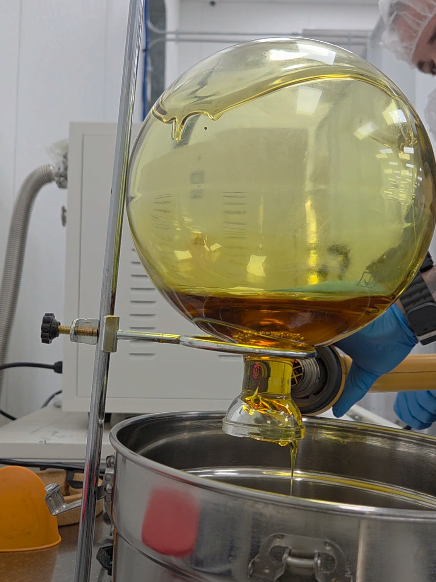 #foryoupage #xyzbca #gold #honey 