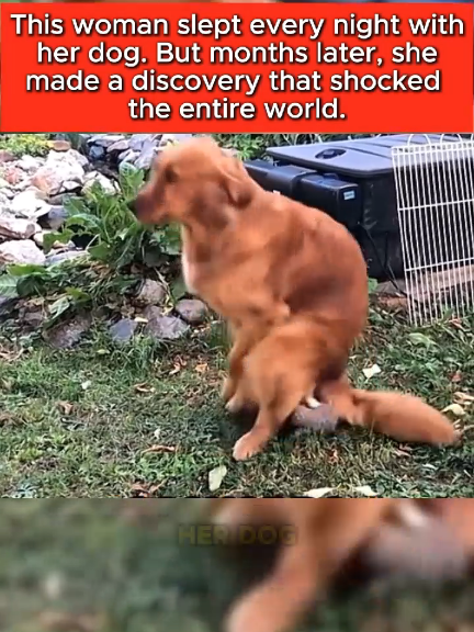 #LearnOnTikTok #storytime #truestory #fyp #foryou 