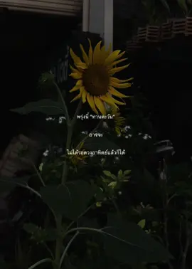 ❤️‍🩹#fyp #เธรดเพลง #เธรด #เธรดเพลง #purpeech 