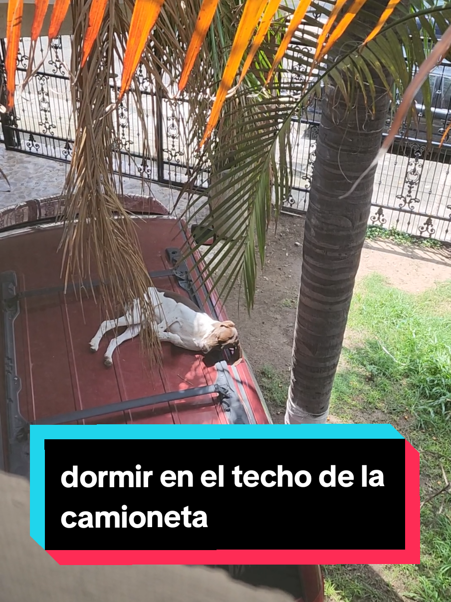 Que agusticidad eda... #agusticidad 