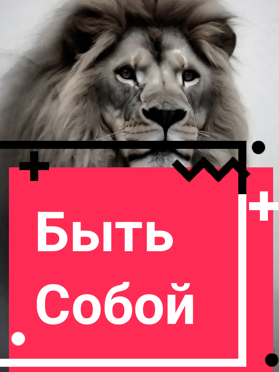 Быть собой  #zodiac #lion #лев #зз #ззнакизодиака #цытата #цытаты #цытатысосмыслом #доверие #искренность #верность #счастье #любовь #сердце #чувство #добро 