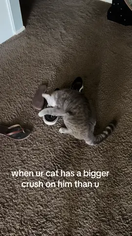 my son needs a new pappyyyy