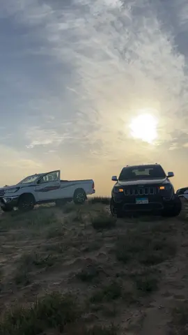 #creatorsearchinsights 