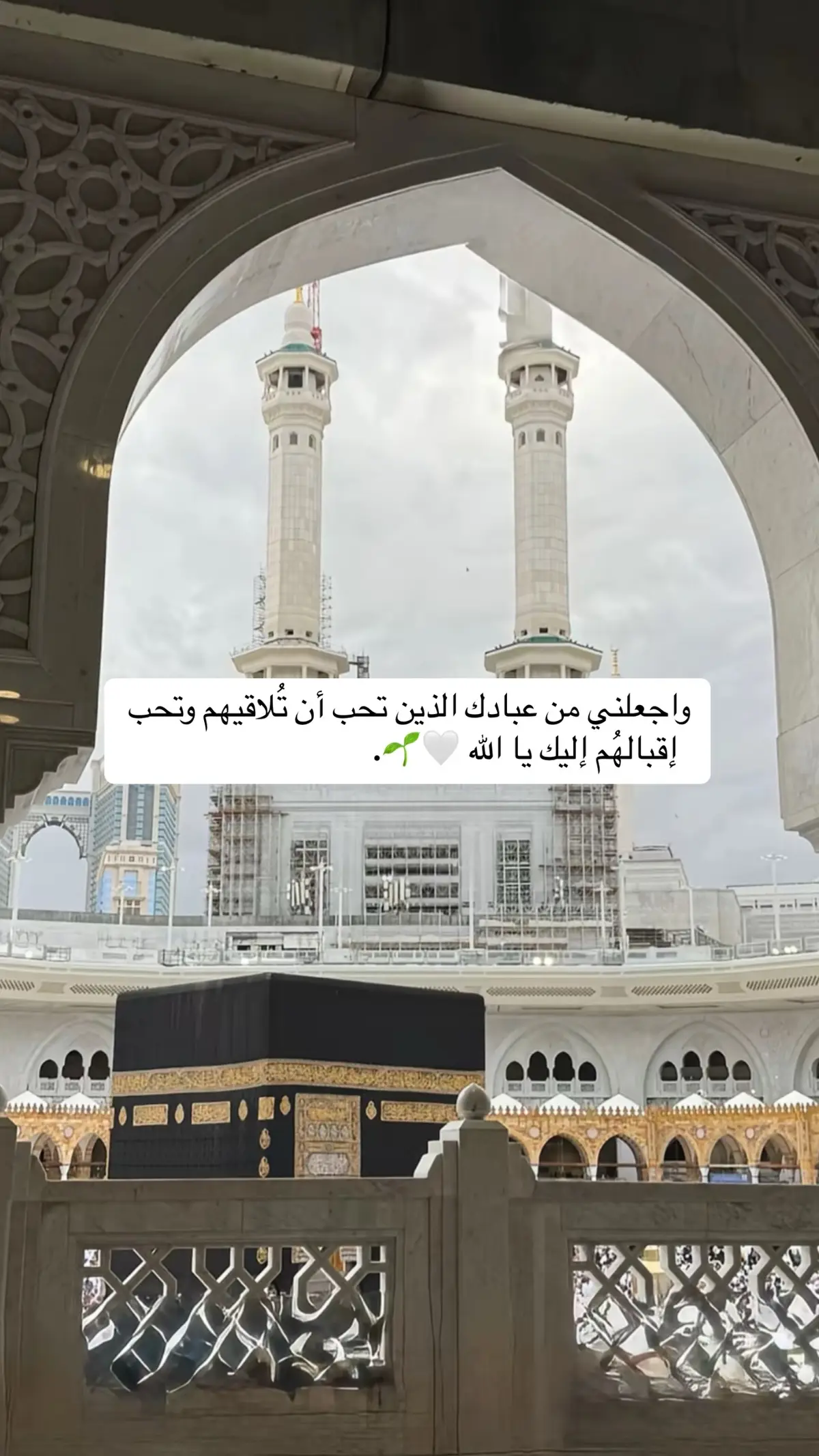 #ماهرالمعيقلي #قران_كريم #قران #quran_alkarim #اجر_لي_ولكم 