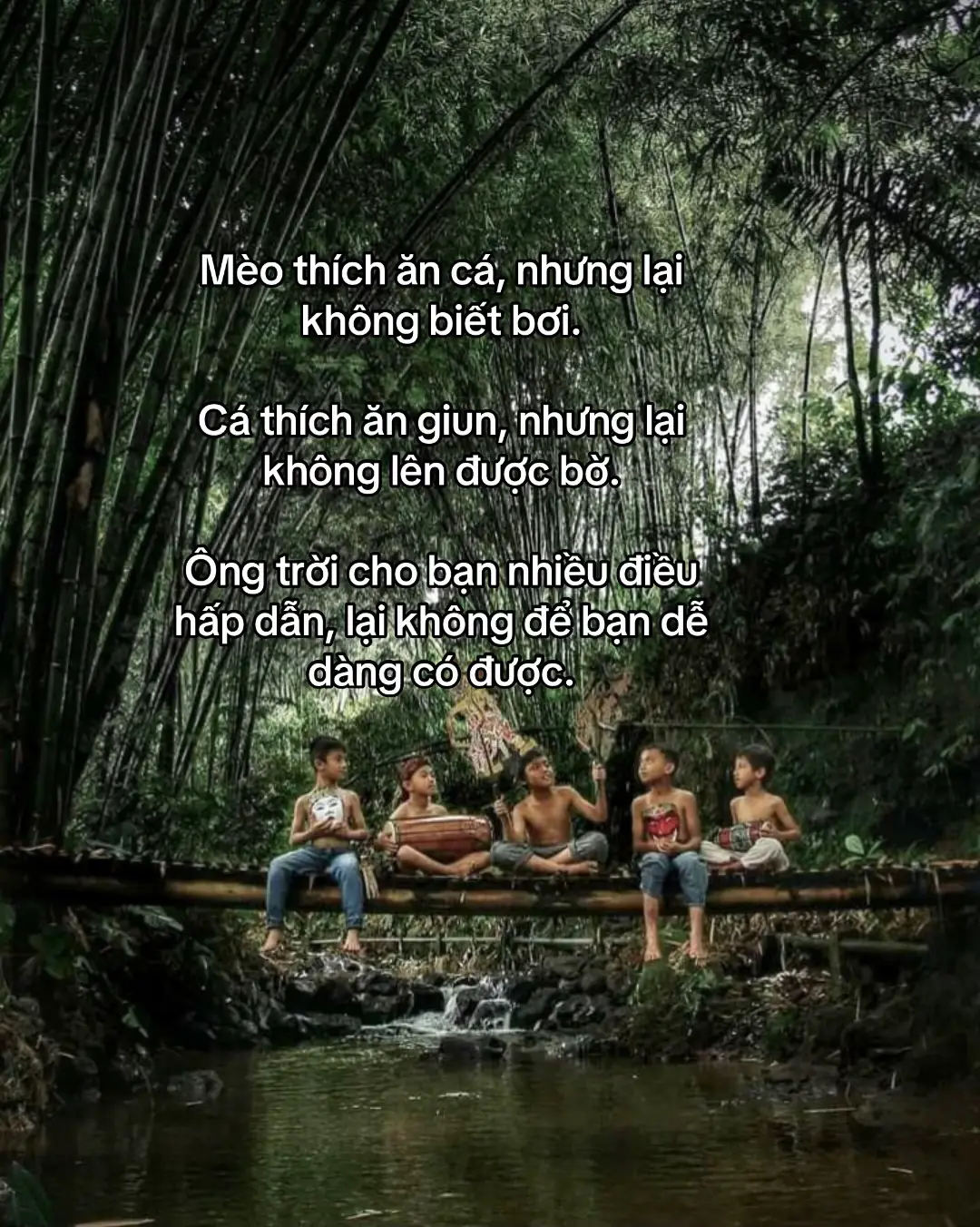 #xhtiktok #cuocsong #xhhhhhhhhhhhhhhhhhhhhhhh 