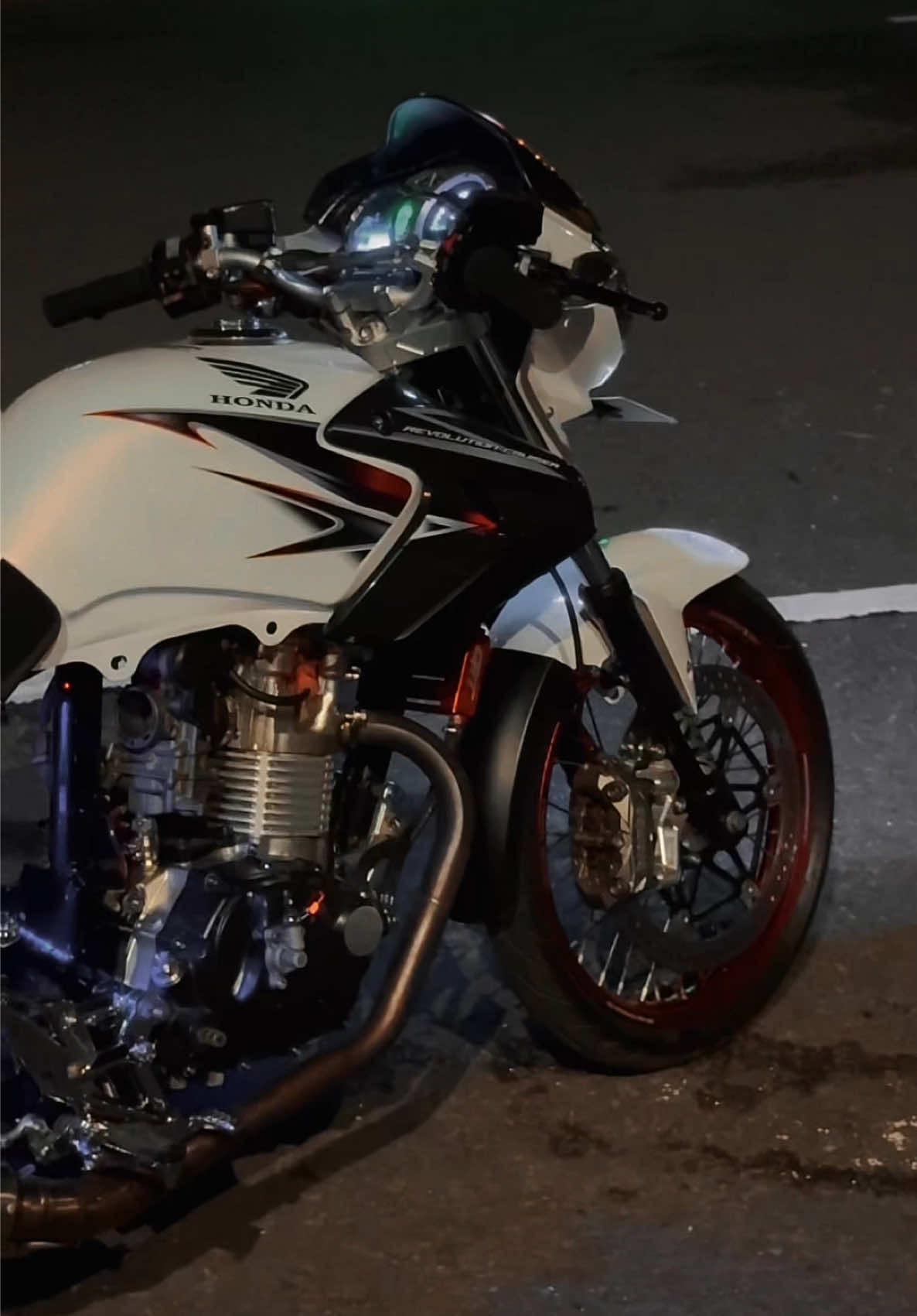 #tigeralbino #tigerpece #yamaho 