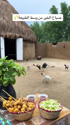 الزمن الجميل #اكسبلورررررررررررررررررررررررررر❤ 