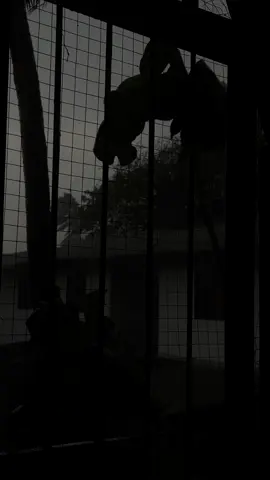 #เธรด #แจกคลิปทําเธรด #foryou 