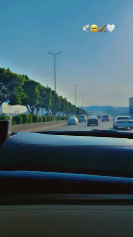 🥹🕊️🤍🌹🌹🌹🌹🌹🌹🌹🌹🌹🎻🌹❤️#اكسبلوررر #اكسسسسسبلورررررررررر🌹#الضباب_ابها  #الضباب#اكسبلورexplore ##الحب #حبيبي #احبكم  #المشكى_على_الله #خالد_عبدالرحمن_اعاني_حاولت_اجيبك #تصميم #تصاميم #تصميم_فيديوهات🎶🎤🎬 #من_اصدق_ما_قيل #من_اصدق_ماقرات #اكسبلور_explore #شيبت_روحي #ترند_تيك_توك #اطلبي_يانفس_دام_الله_كريم #اكسسسسسبلورررررررررر🌹 #foryou #viraltiktok #😭😭😭😭😭😭💔💔💔💔 #fyp #foryourpage #viraltiktok #n888454#fypシ゚viral #fyppppppppppppppppppppppp #بدون_هشتاق #بدون_توقيع #hope #tiktoklongs#foryourpage#creatorsearchinsights