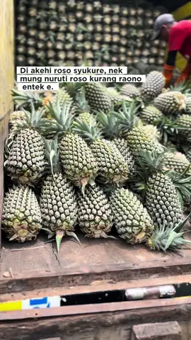 🤲🤲🍍#abahekogroup #pineapplefruits 