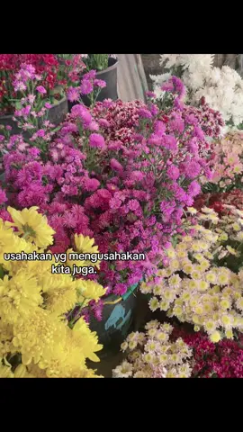 #fypage #galaustory #fyppppppppppppppppppppppp #dyppppppppppppppppppppp #fresflowers #fypageシ #fouryou #lovestory 