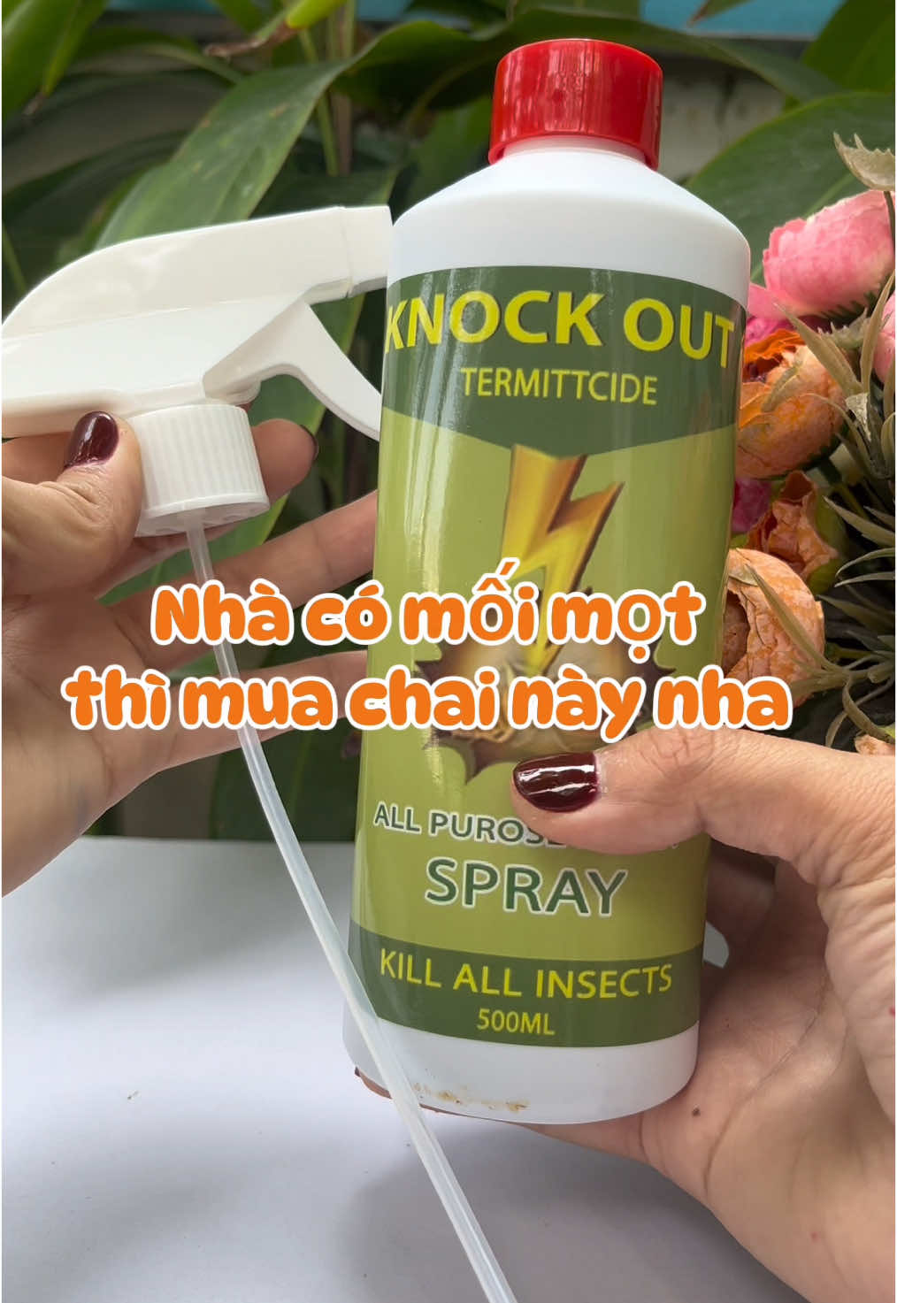 Diệt mối mọt cho nhà mình đi mấy chị em ơi #mailehang #dietmoimot #CapCut 