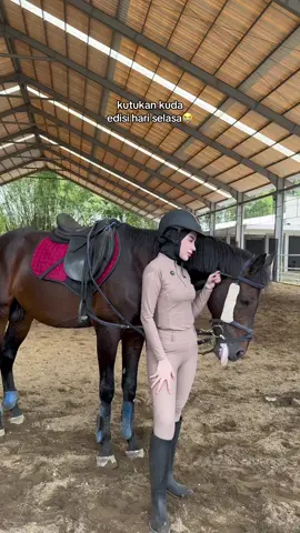 hati hati kuda kalo birahi ga liat liat #kuda #kudabirahi  #animalia 