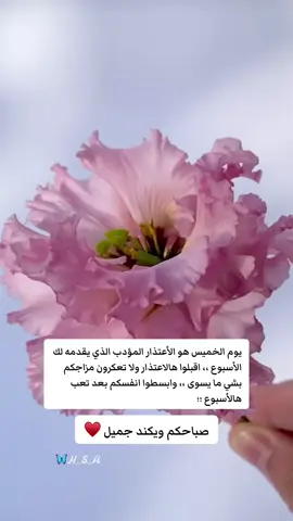 صباح ويكند جميل ♥️ #صباح_الخير #اكسبلور #عبارات #كلام_من_ذهب #اقتباسات #explore #you #fypシ゚ #foryou #viralvideo #fyp #لايكات 