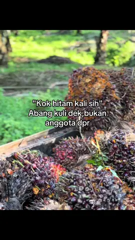 Yg penting menyala😃#fyp #sawitontiktok #sawitbalap #kulisawit #petanisawit #bossawit 