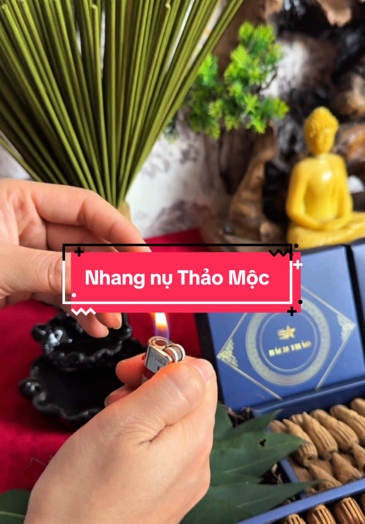 Khám phá nhang nụ Thảo Mộc.     #nhang #nhangsach #nhangque #nhangtramhuong #nhangbai #nhangkhuynhdiep #xuhuongtiktok #nhangthaomoc #tramhuong #nhangquesach #bachthao 