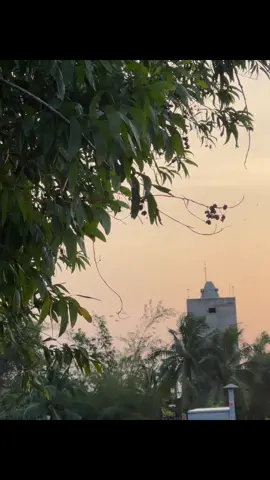 chắc em, em đã quên anh rồi người ơi…🙁😞#hoanghon #tamtrang🎶 #chill 