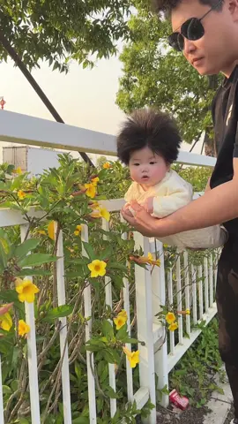 Con ong đi thu mật 🤣🤣 #viabexinhyeu #embedethuong♥️ #nhaviabeyeu #nhavia2vach 