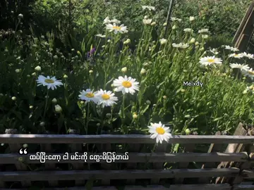 That Feeling When // ENHYPEN  #thatfeelingwhen #enhypen #lyrics #melxdy #foryou #fyp 