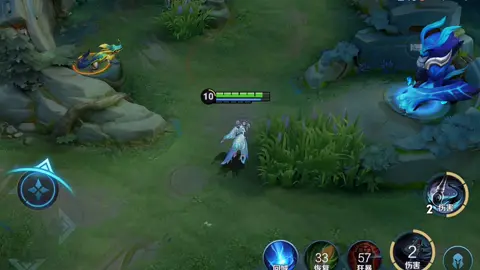 #王者荣耀 #hok #vgvd 