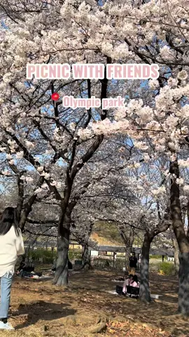 🧺🌸 I like it #picnic #picnicvibes #Korea #봋꽃 #blossom 