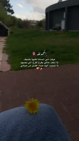 ماتكونو انانيين افرحو لناس واتمنولهم الخير لكل نفس ماتمنت لغيرها✨ #تصويري📸 #fypシ゚viral🖤tiktok 