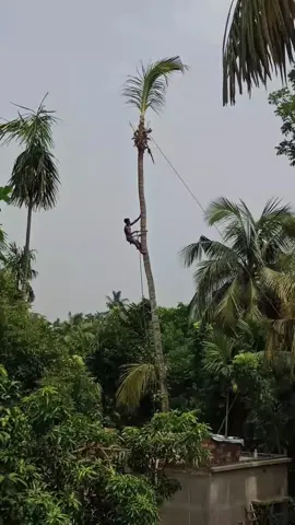 Làm bán hàng cần học cách đánh vào tâm lý #phattrienbanthan #trithuc #phattrienmoingay #banhang #giaotiep 