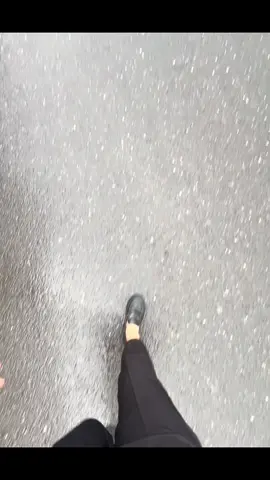 🤍