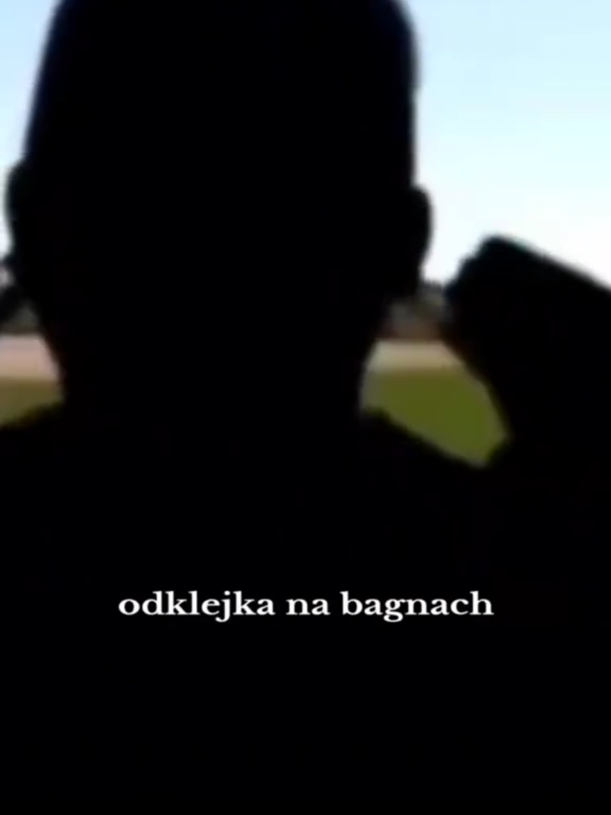 zwracaj się do mnie po imieniu / Shrek / bagno / odklejka / przysłowie / kompilacja / nikt nie pytał każdy potrzebował / mądrego warto popatrzeć / mood od poniedziałku do piątku #perełkitiktoka #nazywo #generatorlosowychslow #shot #synkononowicza #miroslawstabinski #shrek #dc #Ni3nażarty 