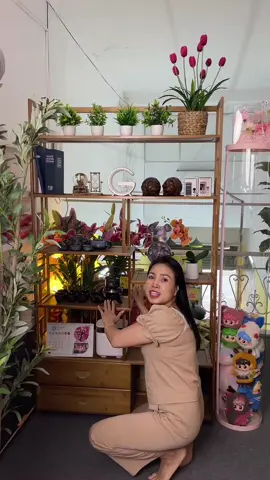 Kệ gỗ tre nhiều tầng đa năng chắc chắn decor trang trí phòng khách cực đẹp #kego #ketrangtri #hahienhoa1 #xuhuong #noithatdep #noithatnhome 