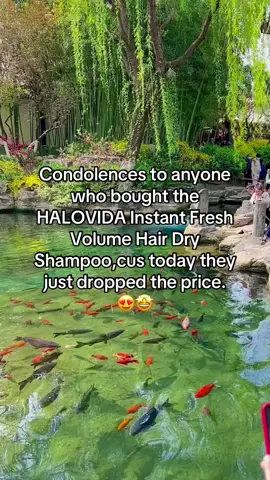 #dryshampoo #halovida #hair #hairtok 