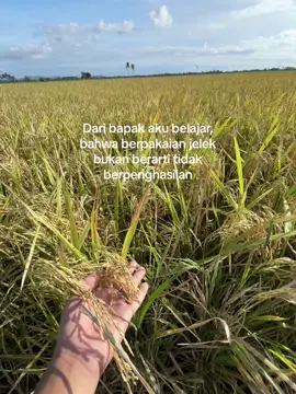 Menyala anak petani #fyp #masukberanda #xyzabc #anakpetani #soundviral #293family #berandafyp #fypシ゚ #petanimuda #petaniindonesia🇮🇩🇮🇩🇮🇩🌿🌿 #viralvideo 