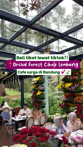 Kalau ke Bandung aku gak pernah skip main ke orchid forest cikole lembang @Orchid Forest Cikole  Tempatnya aestetik dan adem banget😍 sekarang bisa pesan tike #TravelHematRamadan #SemuaAdaTiketnya #orchidforestlembang #orchidforest #placetogobandung #lembangbandung #cafelembang #placetogobandung 