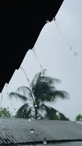 #mdshakibn87 fvrt weather😌🖤 #rajshahi #rajshahi #rain #rainyday #foryoupageofficiall #foryoupageofficiall #foryoupageofficiall #foryoupageofficiall #foryoupageofficiall #foryoupageofficiall #unfrezzmyaccount #unfrezzmyaccount #unfrezzmyaccount #unfrezzmyaccount #foryoupage #fyp #viral 
